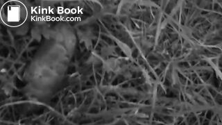 Girl pooping outside - video 2