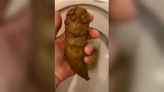 got a thick, smelly turd out of the toilet