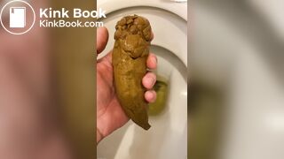 got a thick, smelly turd out of the toilet