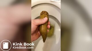 got a thick, smelly turd out of the toilet