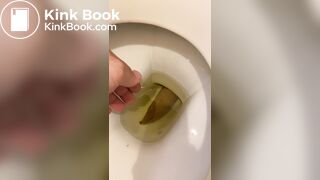 got a thick, smelly turd out of the toilet