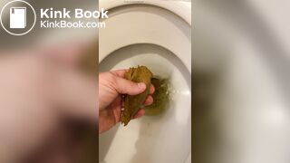 got a thick, smelly turd out of the toilet