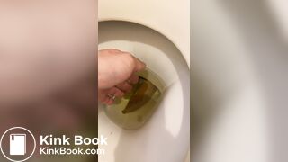 got a thick, smelly turd out of the toilet