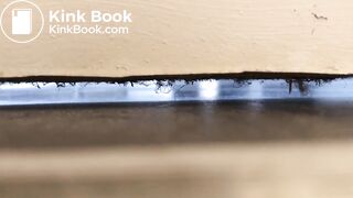 University housemate diarrhea