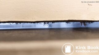 University housemate diarrhea