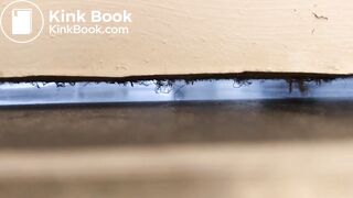 University housemate diarrhea