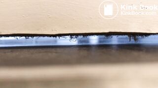 University housemate diarrhea