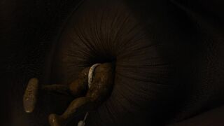 Horse anal vore - video 5