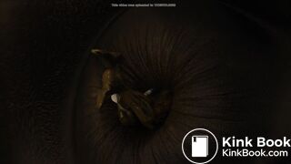 Horse anal vore - video 5