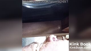 She fed him huge pile of shit