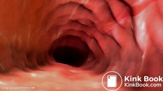 Boswette's Tribulation (Full Version)