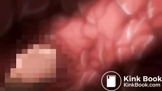 Watashi no Shiranai Mesu no Kao