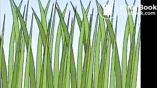 Girl poops pants - video 2