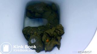 toilet squat shitting