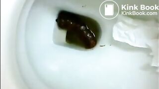Brunette poops in public toilet