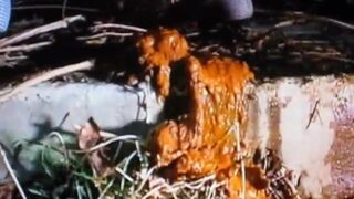 she has stomach pain and a lot of diarrhea