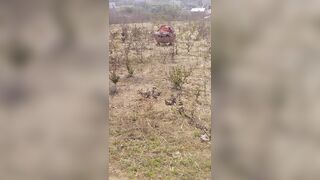 Desi pee - video 14
