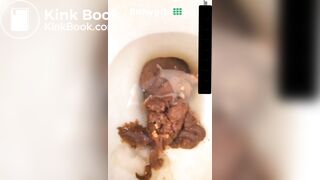 Sexy Brunette Leaves a nice pile in her toilet bowl