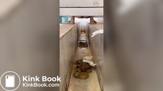 Voyeur Chinese Scat