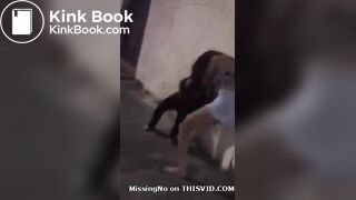 Latinas fighting and one shits herself