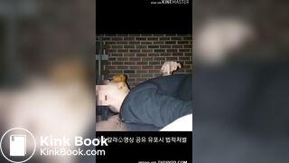 korean scat femdom 3