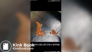 korean scat femdom 3