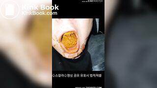 korean scat femdom 3