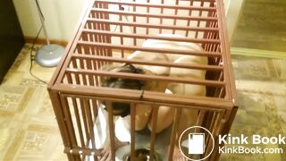 Beautiful dogwore shit and lick her scat2