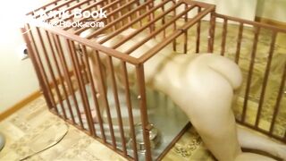 Beautiful dogwore shit and lick her scat2