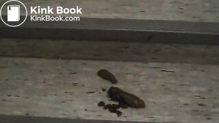 Pooping woman - video 7