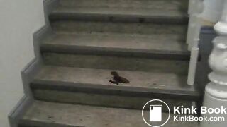 Pooping woman - video 7