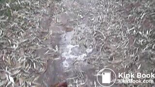 Teen girl pooping and pissing