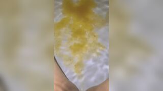 Scat Diarrhea in Pool