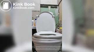 Toilet action - video 2