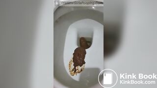 Toilet action - video 2