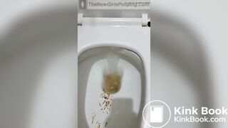 Toilet action - video 2