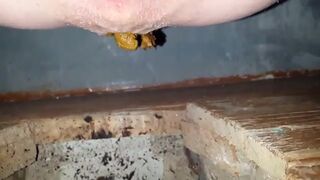 Videos 128