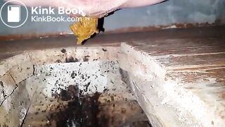 Videos 128