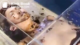 Japanese toilet slave play