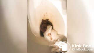 Toilet pooping - video 6 - video 2
