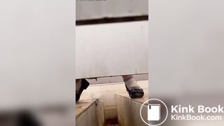 Asian poop Toilet 3