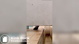 Asian poop Toilet 3