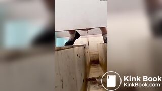 Asian poop Toilet 3
