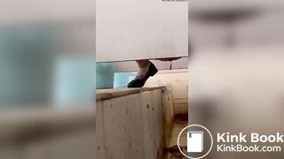 Asian poop Toilet 3