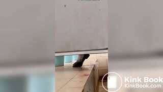 Asian poop Toilet 3