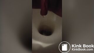 Polish teen pooping on toilet (amateur)