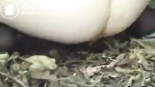 Outside Poop 02 (Diarrhea)