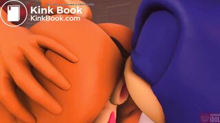 Sally gets gassy while having sex with sonic