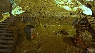 Betty submerges in cowshit compilation