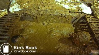 Betty submerges in cowshit compilation